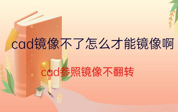 cad镜像不了怎么才能镜像啊 cad参照镜像不翻转？